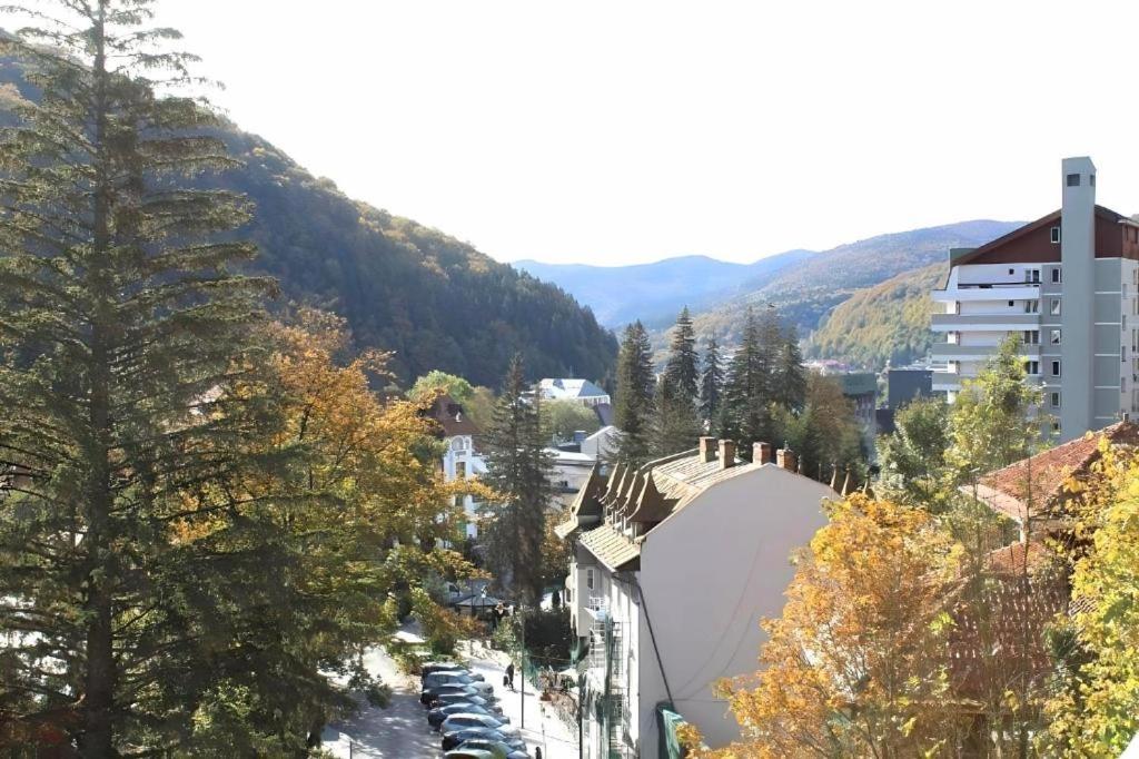 Central Park View Sinaia Esterno foto