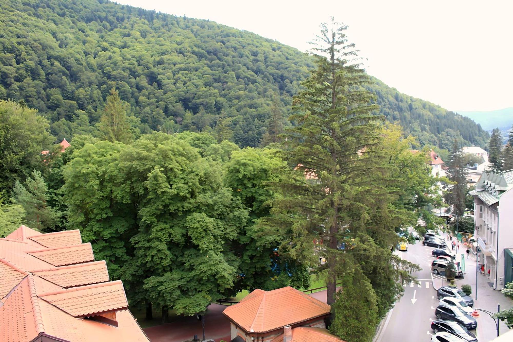 Central Park View Sinaia Esterno foto