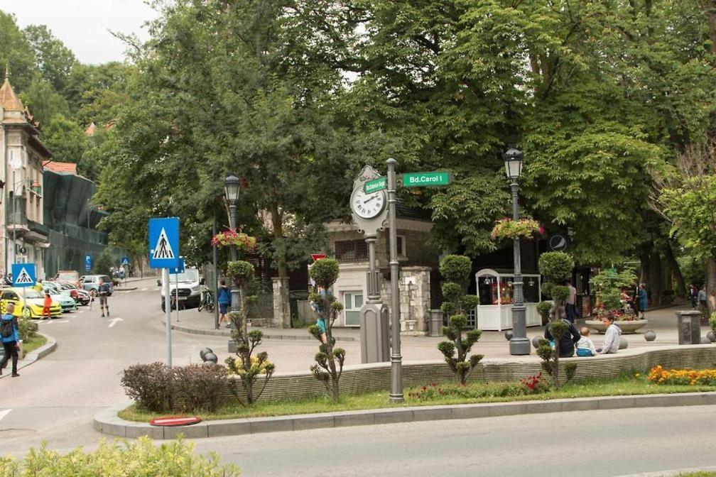 Central Park View Sinaia Esterno foto